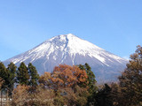 今年もあと一月