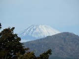 登山道見える