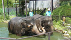 20140903003433.jpg