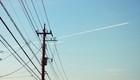 20170128.jpg（800px × 458px）