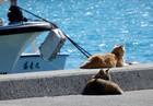 かなりお気に入りの一枚